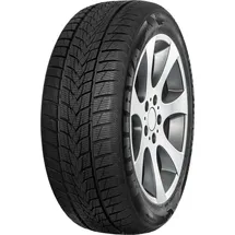 MINERVA Frostrack UHP 205/50 R17 93V