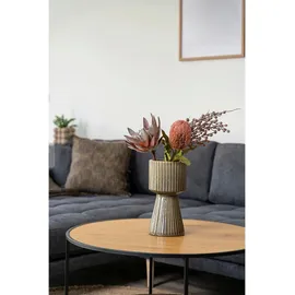 VCM House Nordic, King (75 cm