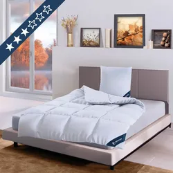 4-Jahreszeiten Daunendecke »COMFORT« – 60% Daunen, 40% Federn, Größe: 200x220