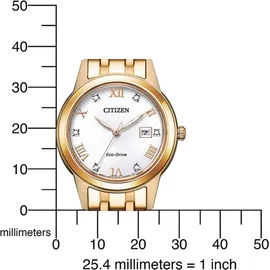 Citizen Edelstahl 29,4 mm FE1243-83A
