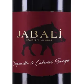 Virgen del Aguila Agoston Jabali Tempranillo-Cabernet 2024