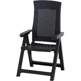 PROGARDEN Gold Klappsessel 22 x 89,5 x 57 cm anthrazit