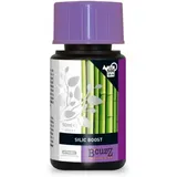 Zusatzstoff/Siliziumadditiv von B'Cuzz Silic Boost (50ml)