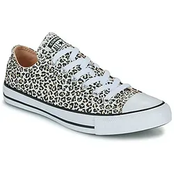Converse  Sneaker CHUCK TAYLOR ALL STAR  in Multicolor, 44