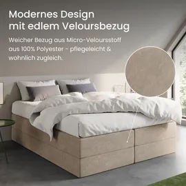 home collective Boxspringbett 160 x 200 cm H3 Beige