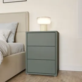 Forte Nachtschrank Alice Springs 49,8 x 41,5 x 68,7 cm Grün