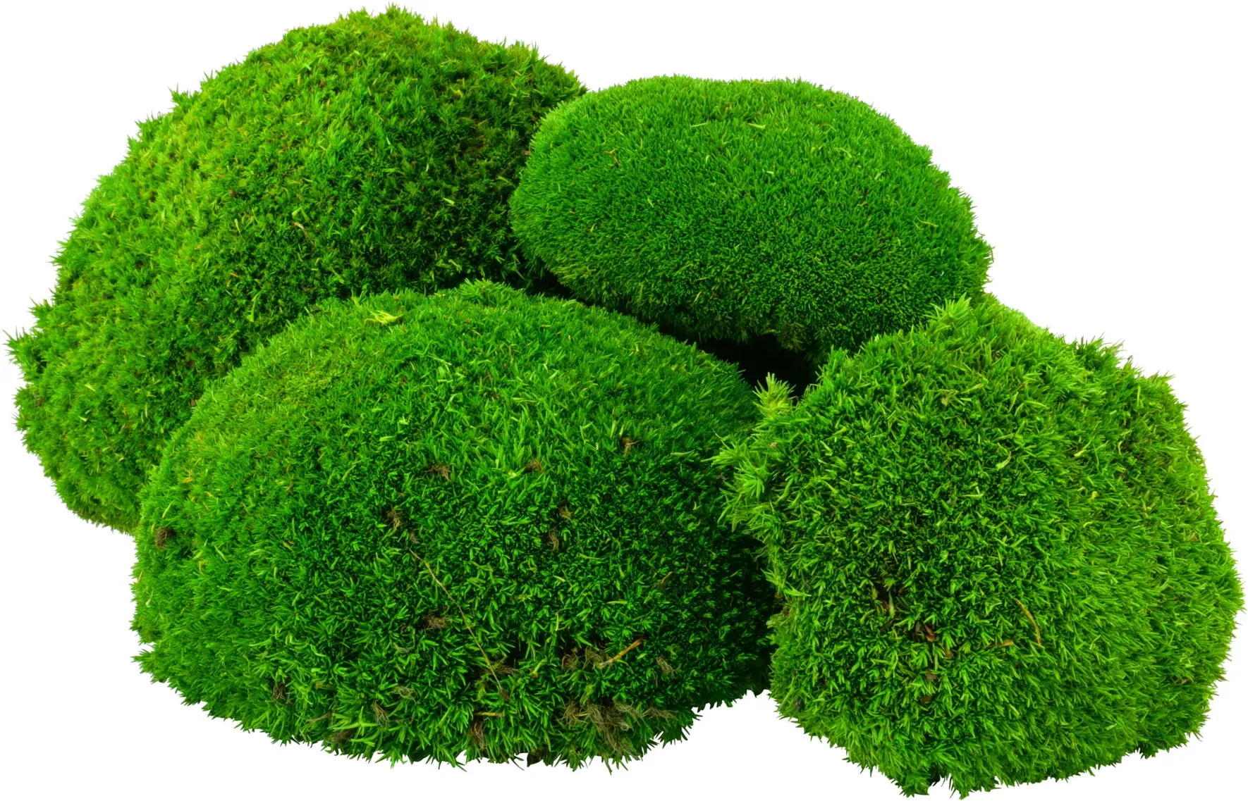 Kugel Moos 600g hellgrün