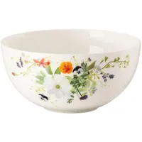 Rosenthal Müslischale Mehrfarbig