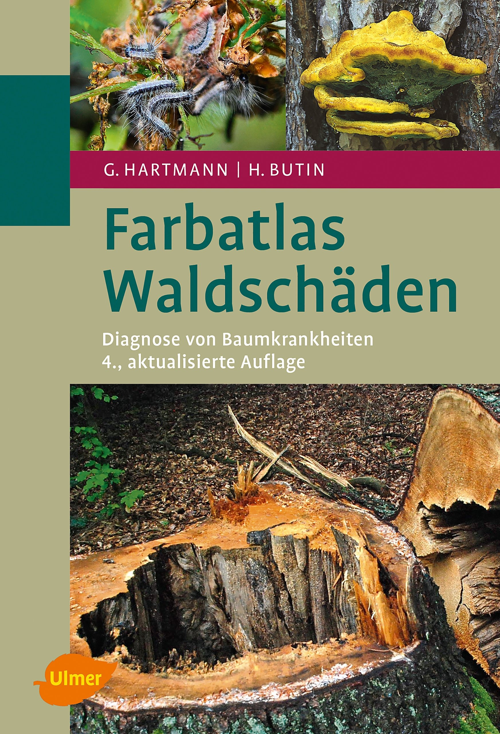 Farbatlas Waldschäden – Diagnose von Baumkrankheiten