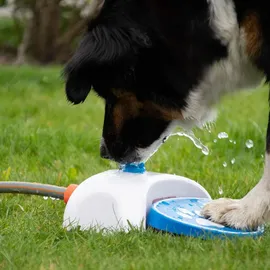 Coolpets Hundewasserbrunnen mit Pedal