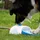 Coolpets Hundewasserbrunnen mit Pedal