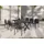 Zebra Technologies Garten Ausziehtisch 240-300 x 100 x 74 cm light taupe