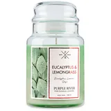 fragrance and style gmbh Purple River Duftkerze 623 g grün
