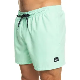 QUIKSILVER Everyday Volley 15" Badeshorts Beach Glass XS