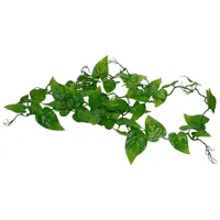 Lucky Reptile Rankenpflanze Philodendron