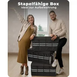 Achilles Strong-Box Robuste Auto-Faltbox mit stabilem Deckel, Kofferraum-Box