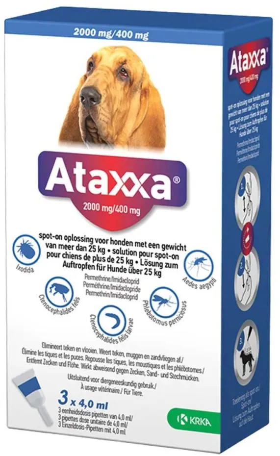 Ataxxa 2000 mg/400 mg Lösung zum Auftropfen für Hunde über 25kg