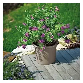 Euro3Plast Geo Ø 55 x 41 cm taupe