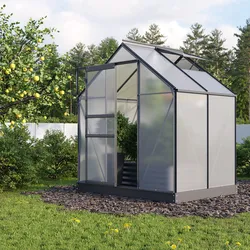 Vitavia Gewächshaus "Planet 2500" inkl. Fundament,schwarz,2,5 m2