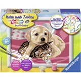 Ravensburger Malen nach Zahlen Beste Freunde