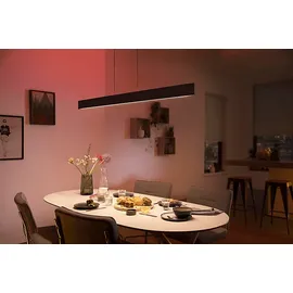 Philips Hue White & Color Ambiance Ensis schwarz