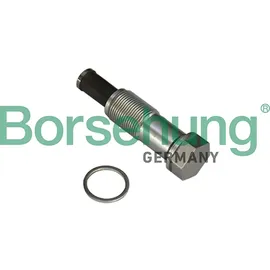 Borsehung Spanner, Steuerkette B1T020
