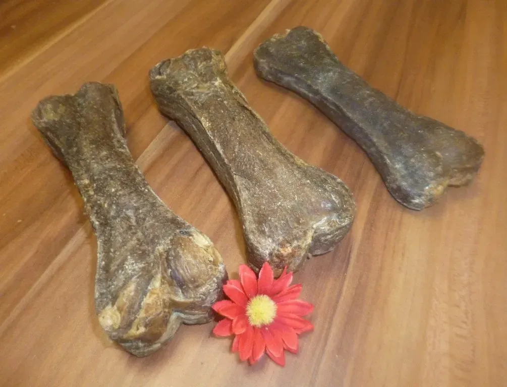 KNOCHEN AUS PANSEN 13 cm