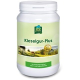 Lexa Kieselgur-Plus 1,2 kg