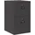 vidaXL Aktenschrank 44 x 50 x 106,5 cm Schwarz