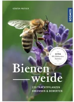 Bienenweide: 200 Trachtpflanzen erkennen und bewerten