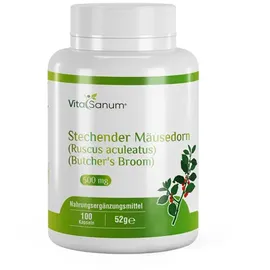 vitasanum Stechender Mäusedorn Kapseln 100 St.