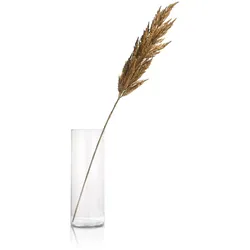 Coco Maison Pampas Grass Spray Kunstpflanze H115cm - Rost
