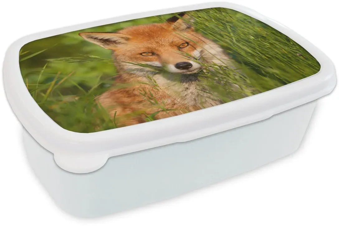 Preisvergleich Produktbild MuchoWow Lunchbox Rotfuchs - Gras - Augen weiß