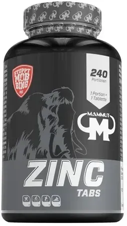 Preisvergleich Produktbild Mammut Zinc Tabs