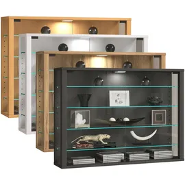 VCM Vitrine - Vitrosa L