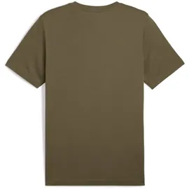 Puma Unisex ESS 2 Color No. 1 Logo Tee T-Shirts, Loden Green,