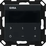 Gira 2320005 IP System 55