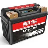 BS Battery BS-Battery LiFePO4 Batterie wartungsfrei