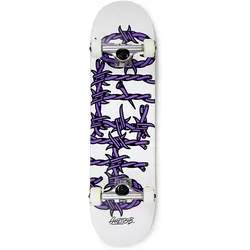 Skateboard Komplettboard für Anfänger Barded Wire Pou 8.25” 8,25