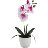 Künstliche Orchidee - Dan | 36 cm
