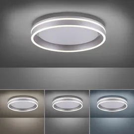 Paul Neuhaus Q-VITO 1-flg. rund silber