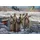 Zvezda Soviet HQ Winter (500786231)