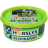 aniMedica Derby Horslyx Respiratory