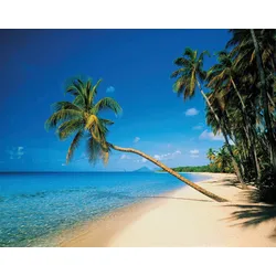 Fototapete PAPERMOON "Leaning Palms", bunt (mehrfarbig), B:4m L:2,6m, Vlies, Tapeten
