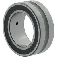 INA Nadellager NA4909 -RS