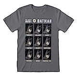 Heroes Inc DC Batman T-Shirt Many Moods of Batman Größe L Shirts Grau