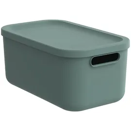 Rotho Aufbewahrungsbox ALBULA 12 L 1-tlg. grün