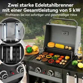 Royal Gourmet 2-Brenner Gasgrill grau
