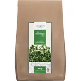 AMAZONAS Moringa 100% Bio Blätter-Tee pur