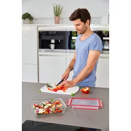 Emsa Frischhaltedose rechteckig rot 26,5 x 19,5 cm 2 l